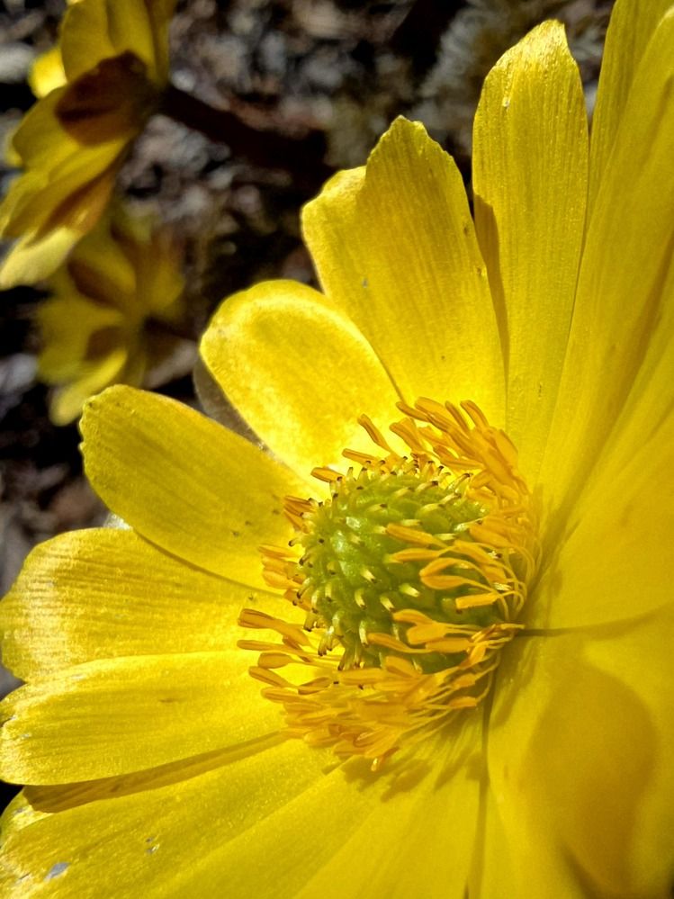 Photograph by Елена Ласун