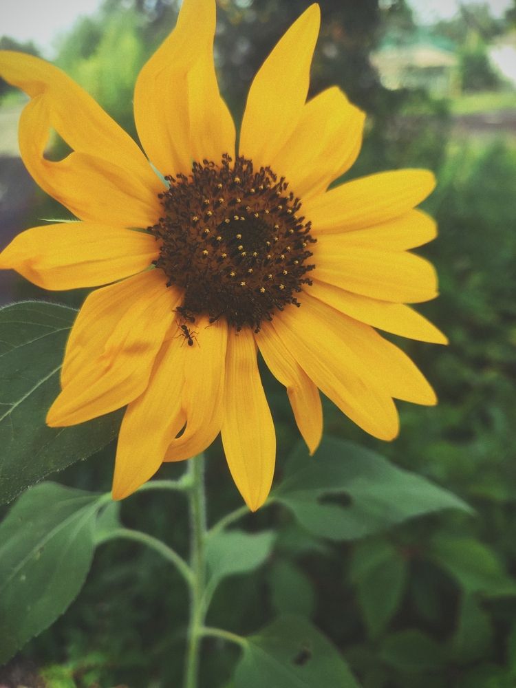 Photograph by Козлова Ольга