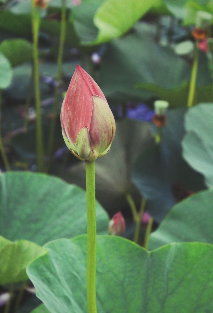 Photograph by Козлова Ольга