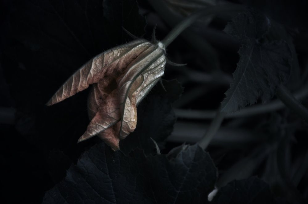 Photograph by Зыкова Мария