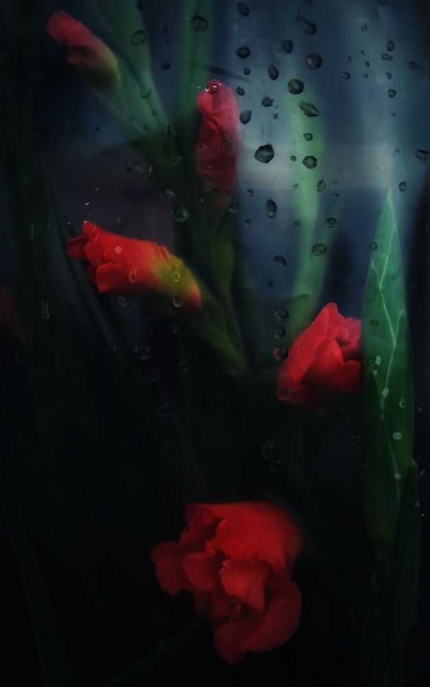 Photograph by Зыкова Мария