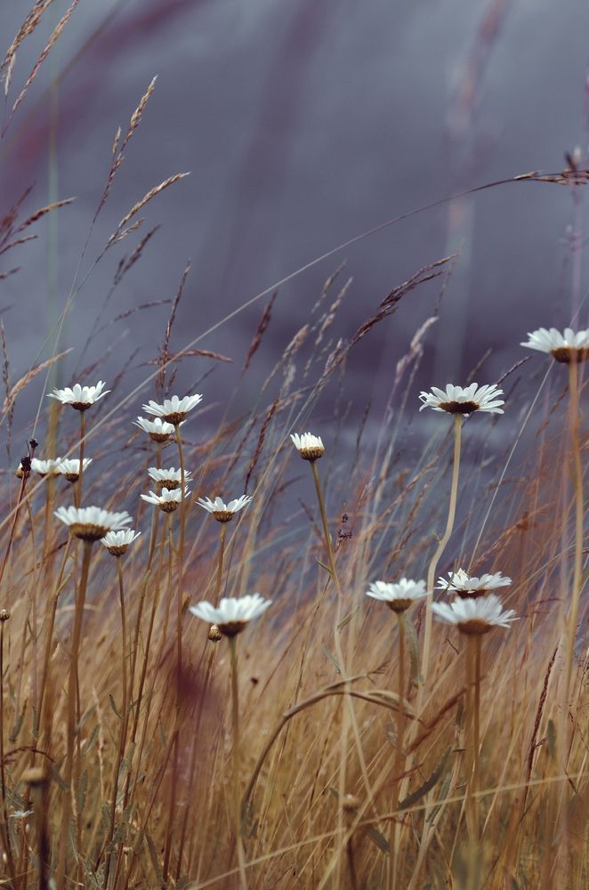 Photograph by Зыкова Мария