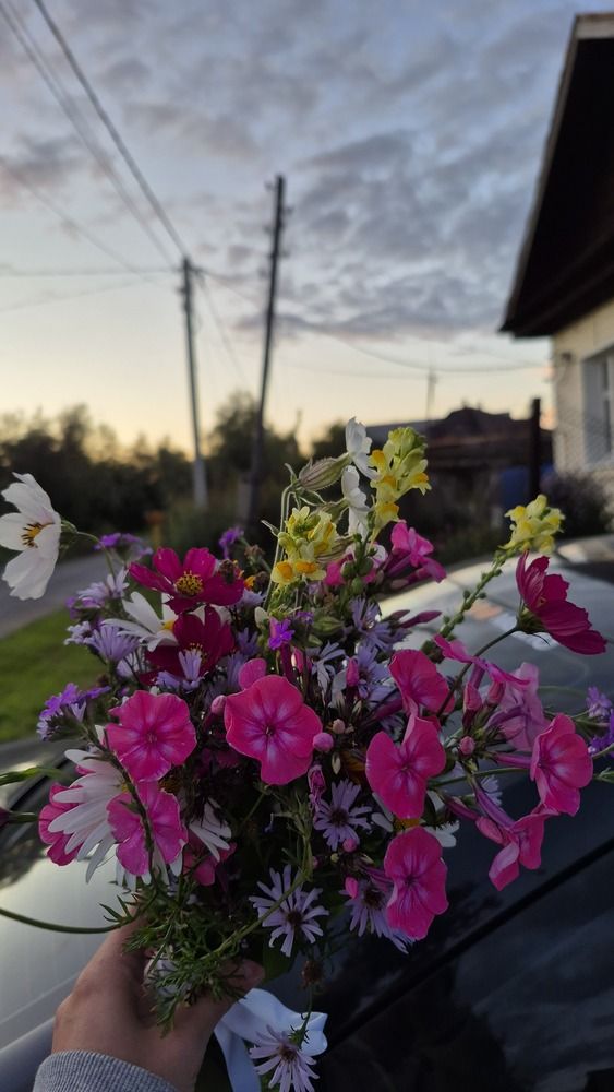 Photograph by Алевтина