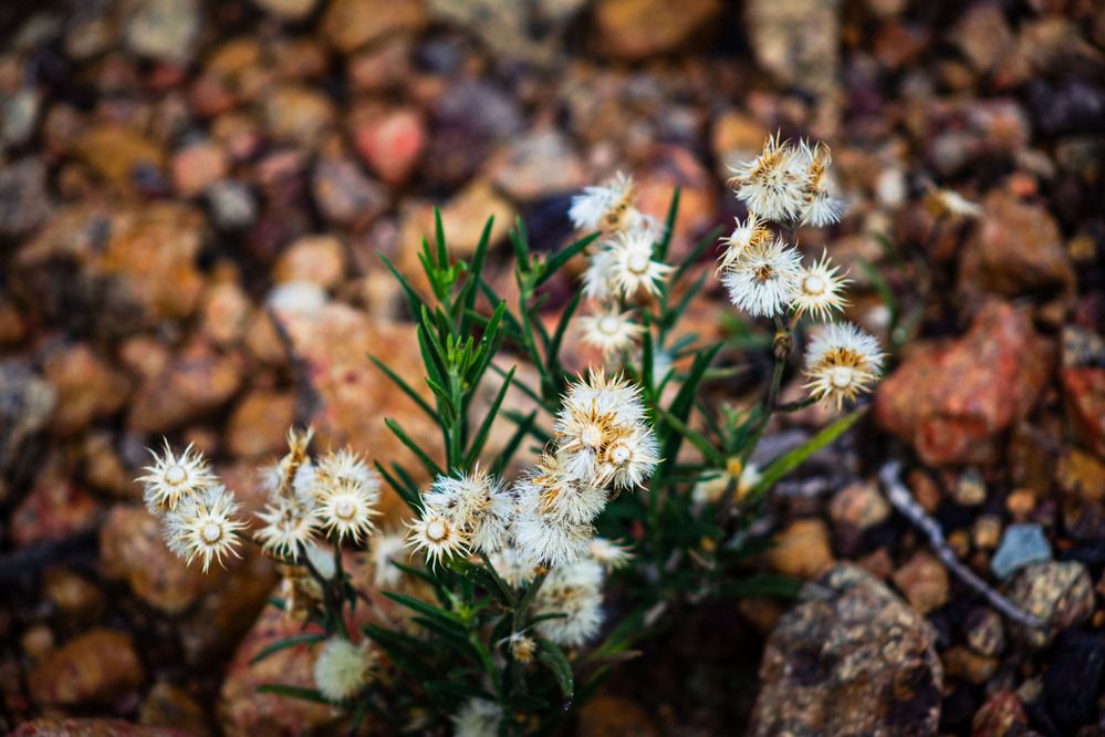 Фотография автора Marcelo Vaz