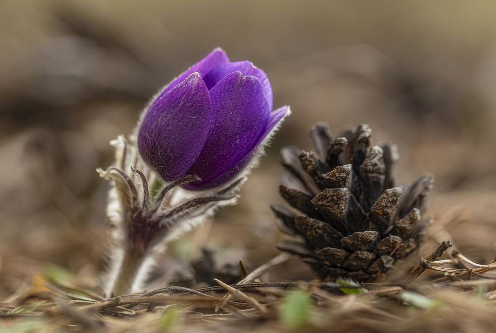 Photograph by Leanid Kulpo