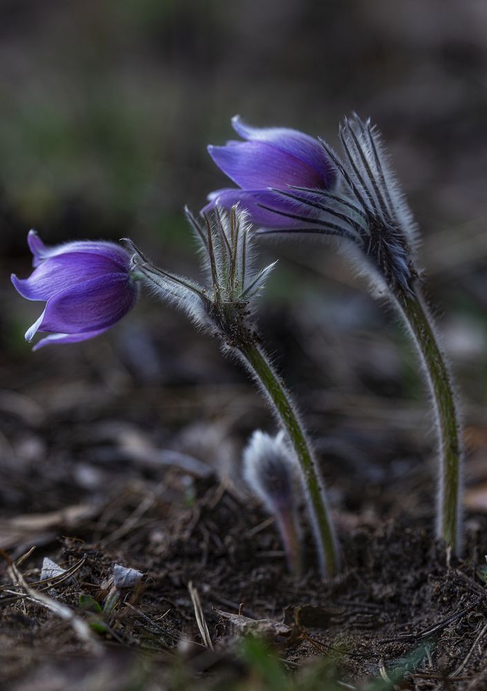 Photograph by Leanid Kulpo