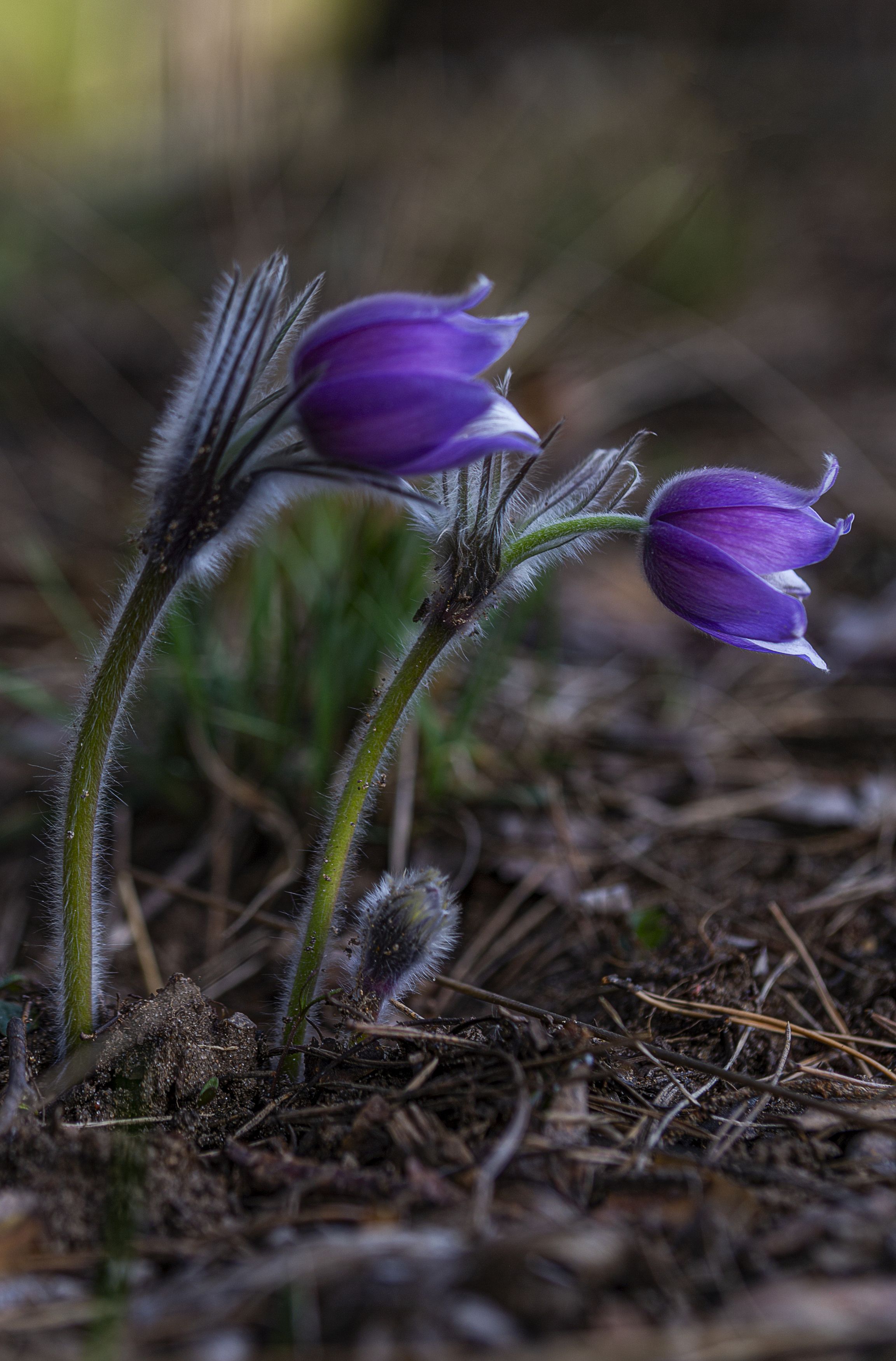 Photograph by Leanid Kulpo