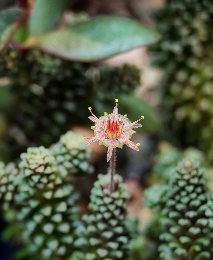 Photograph by Оксана Лоншакова