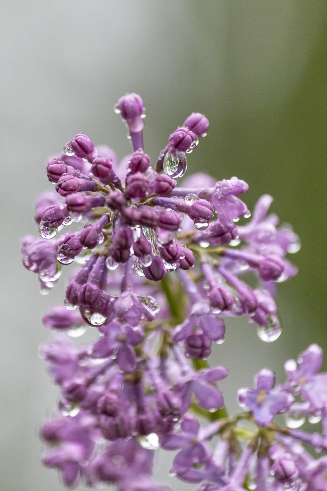 Photograph by Александр Новиков