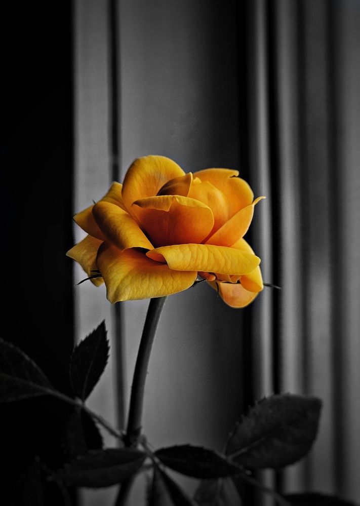 Photograph by Ирина