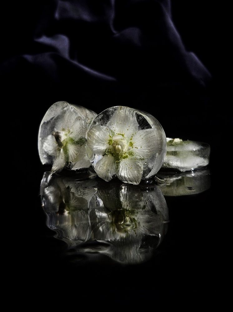 Photograph by Ирина