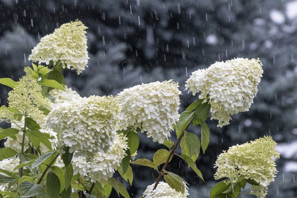 Photograph by Александр Новиков