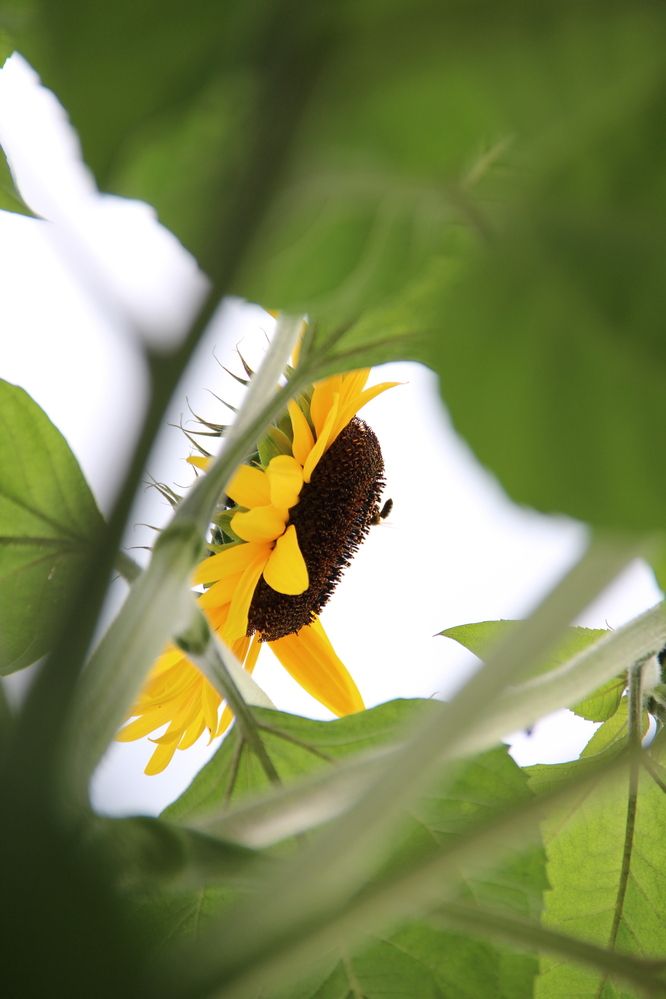 Photograph by Варвара