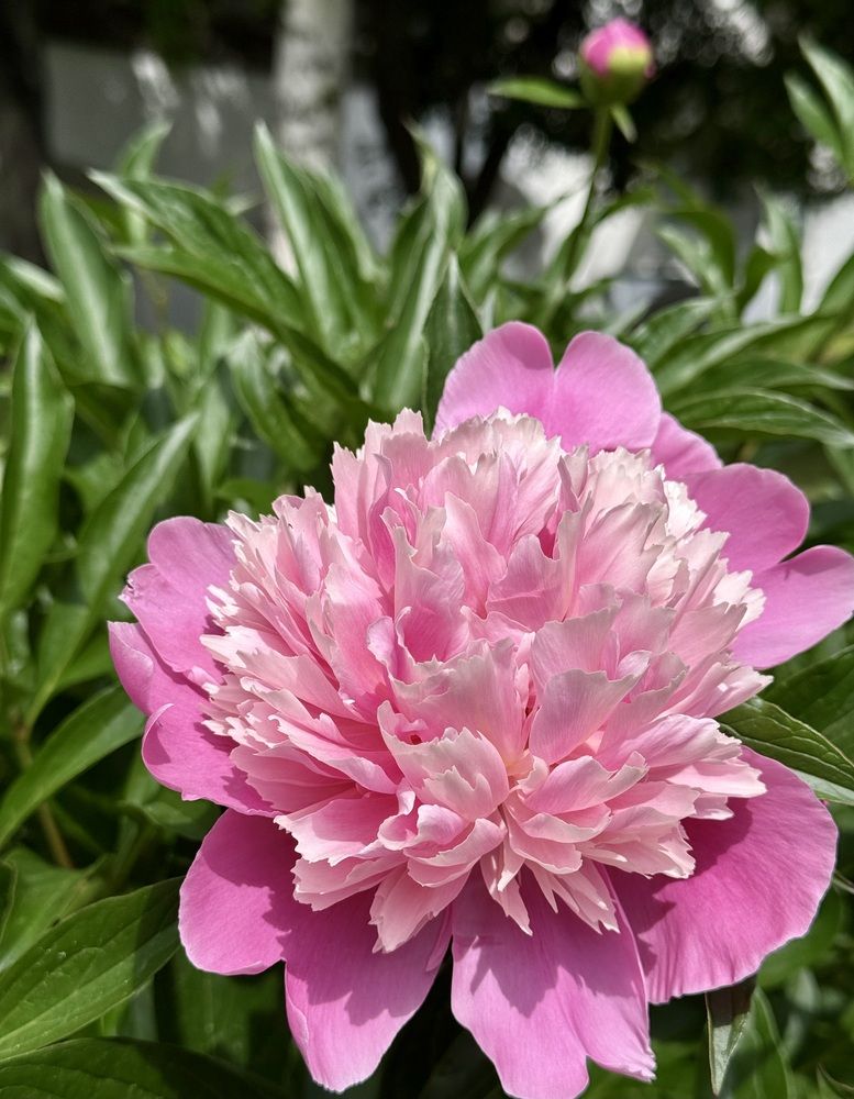 Photograph by Татьяна Раковская