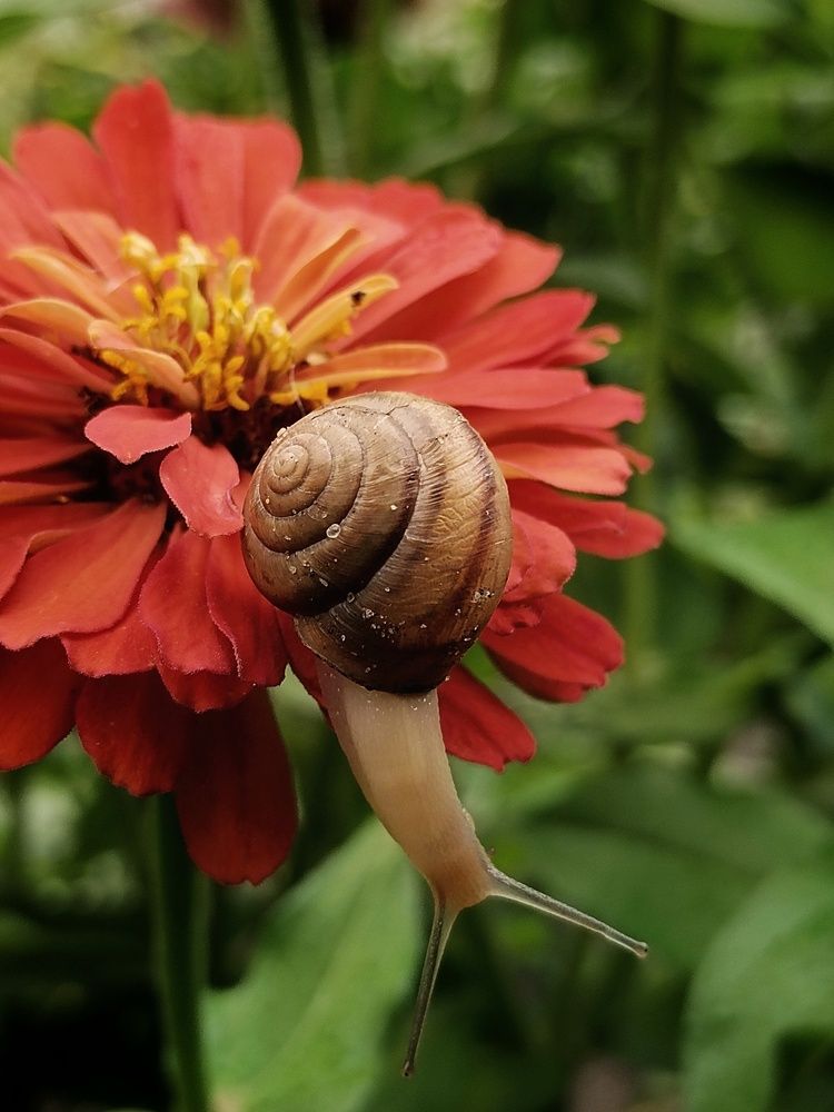 Photograph by Дамир Батряков