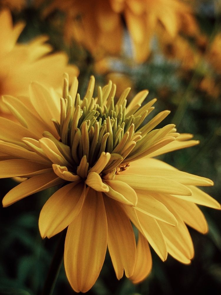 Photograph by Дамир Батряков