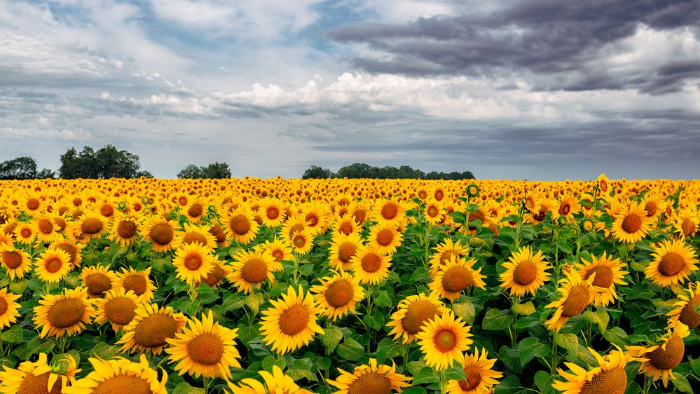 Photograph by Андрей Худзиев