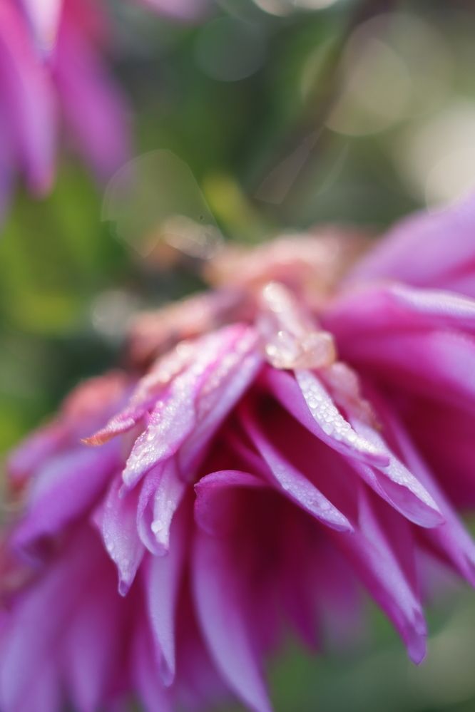 Photograph by Елена Буркина