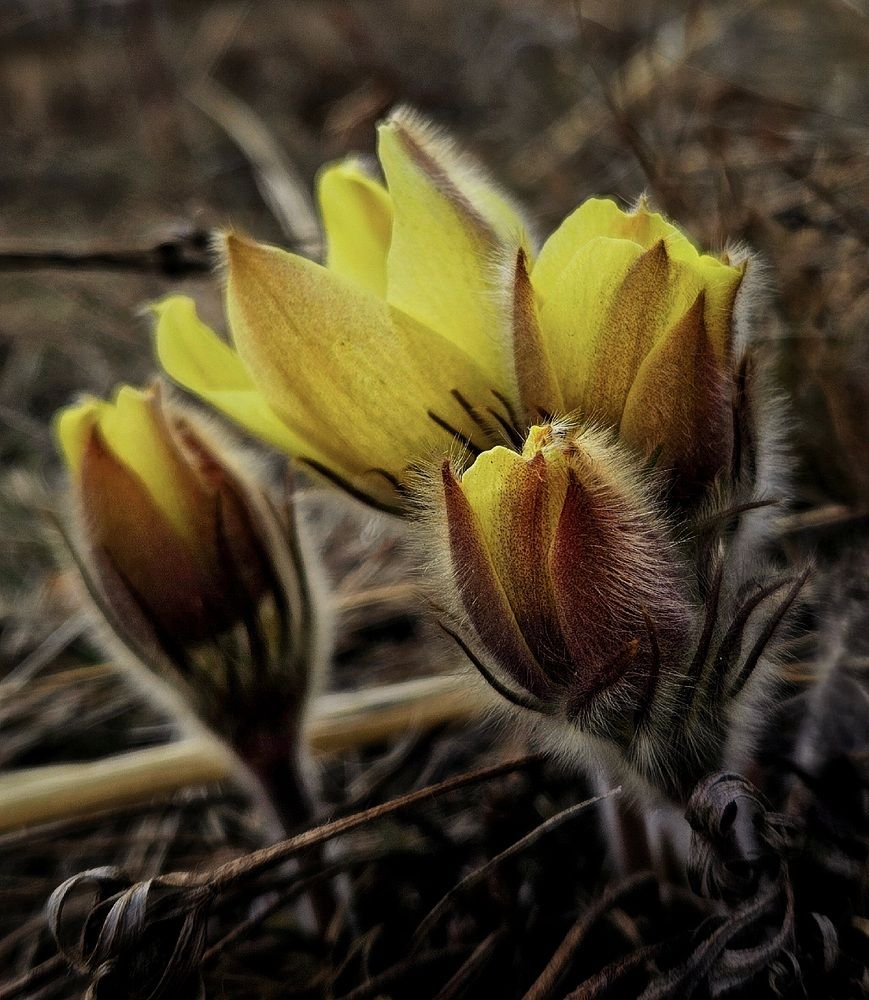 Photograph by Ирина