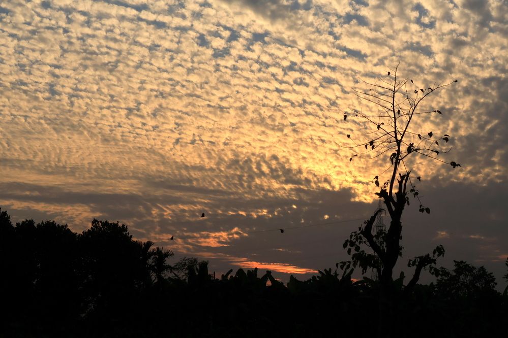 Photograph by Partha Poddar