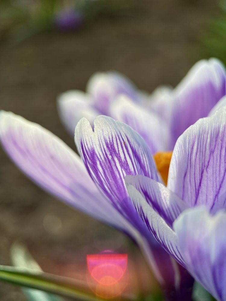 Photograph by Alexey Nuzha