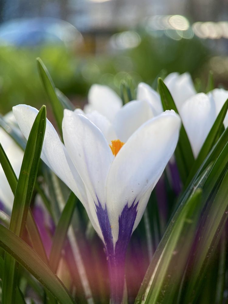 Photograph by Alexey Nuzha