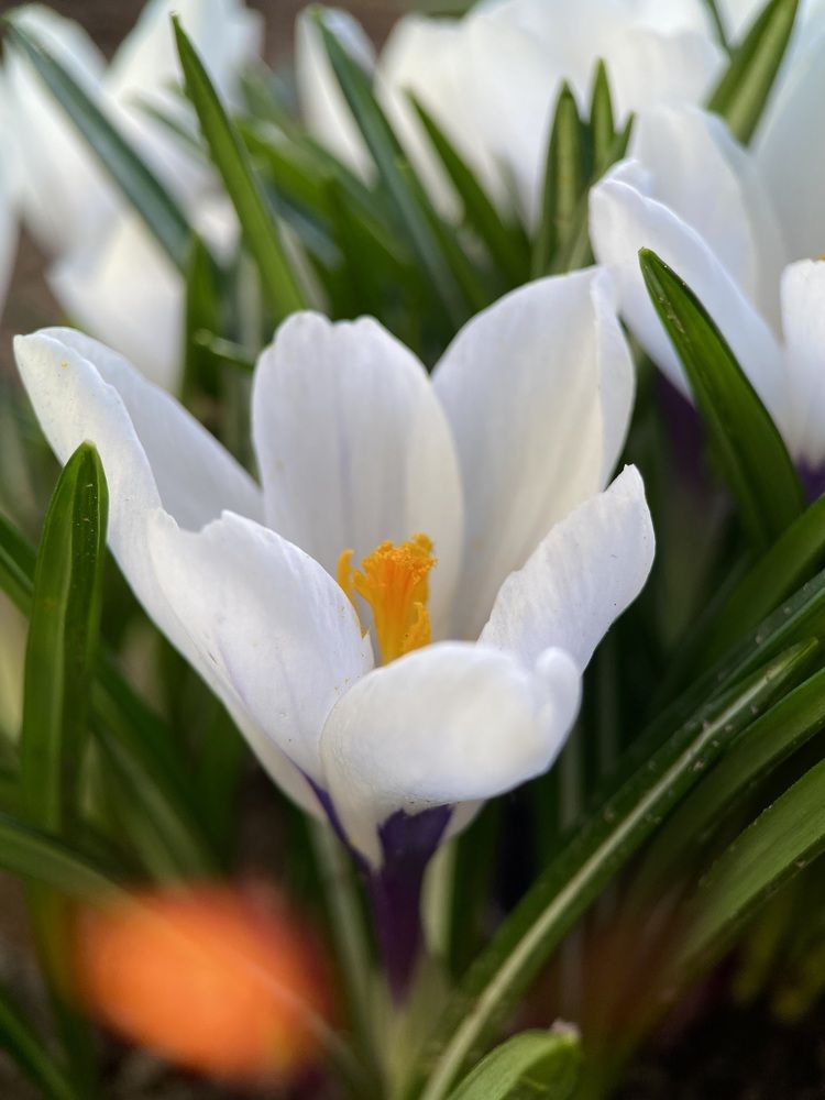 Photograph by Alexey Nuzha