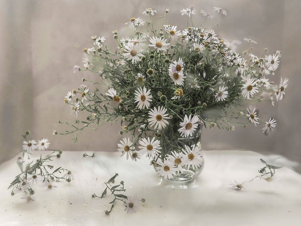 Photograph by Елена Юдовина