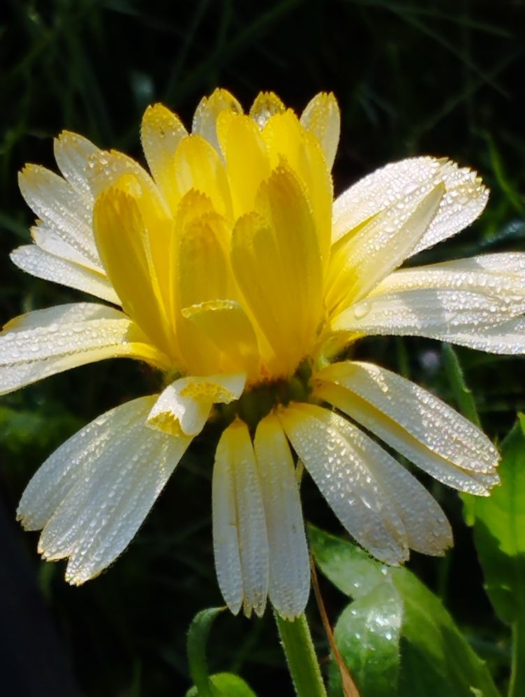 Photograph by Ия Дирко