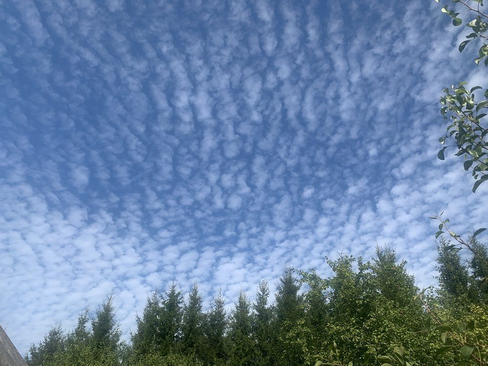 Photograph by Елена