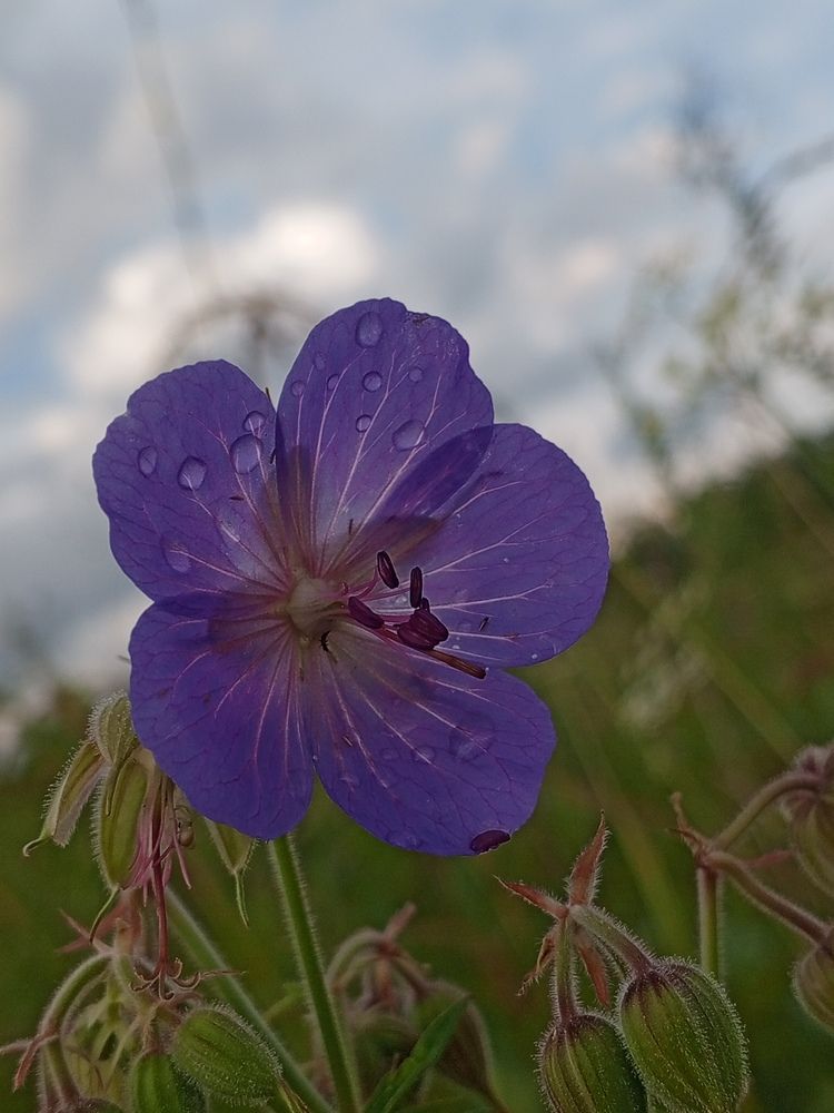 Photograph by Татьяна Николаевна