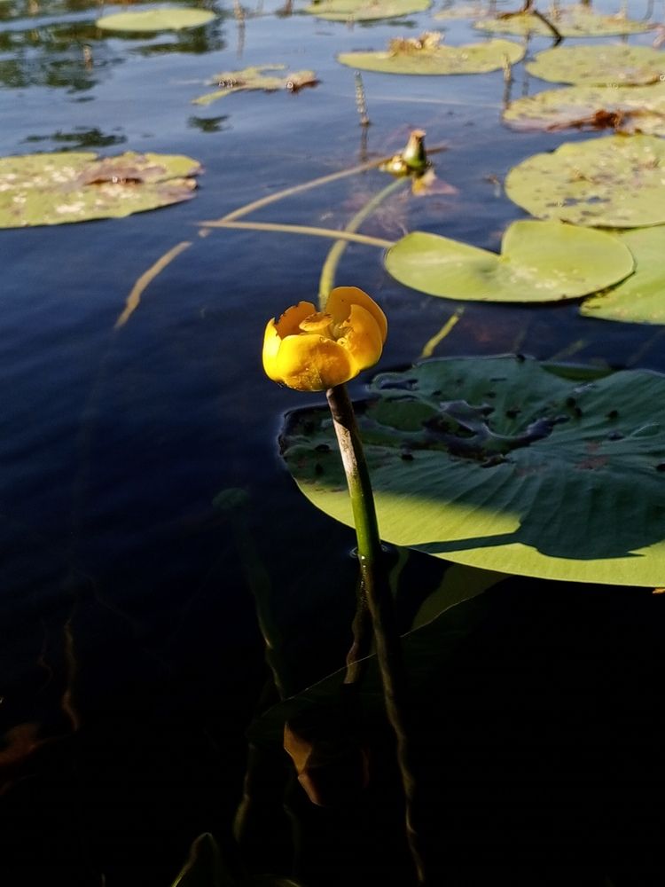 Photograph by Татьяна Николаевна