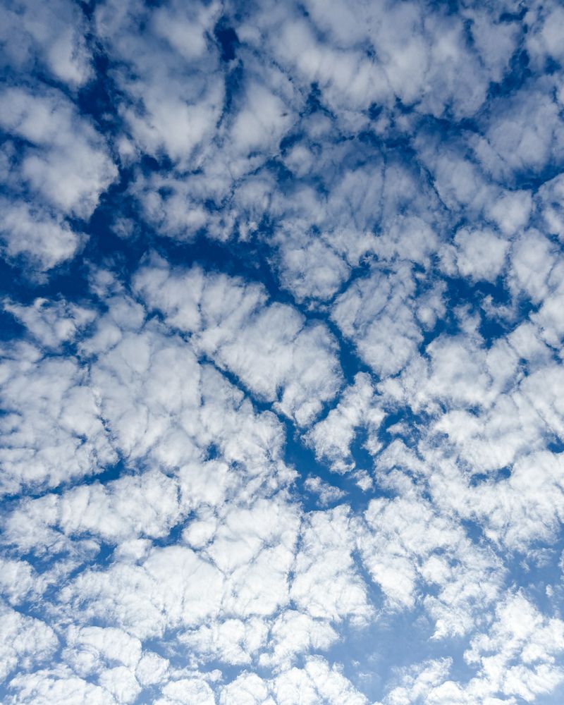 Photograph by Nadezda Yablokova