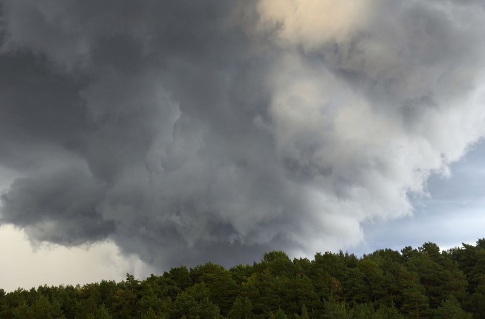 Фотография автора Елена Попова