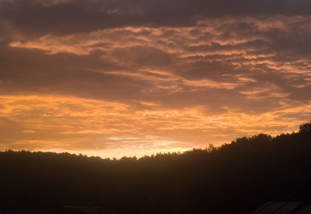 Фотография автора Елена Попова