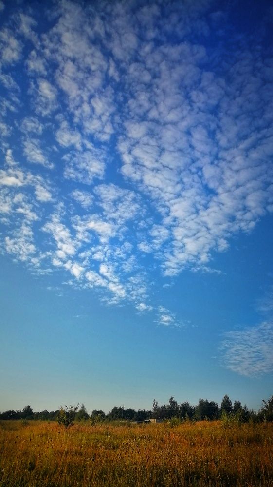 Photograph by Юлия Казимирова