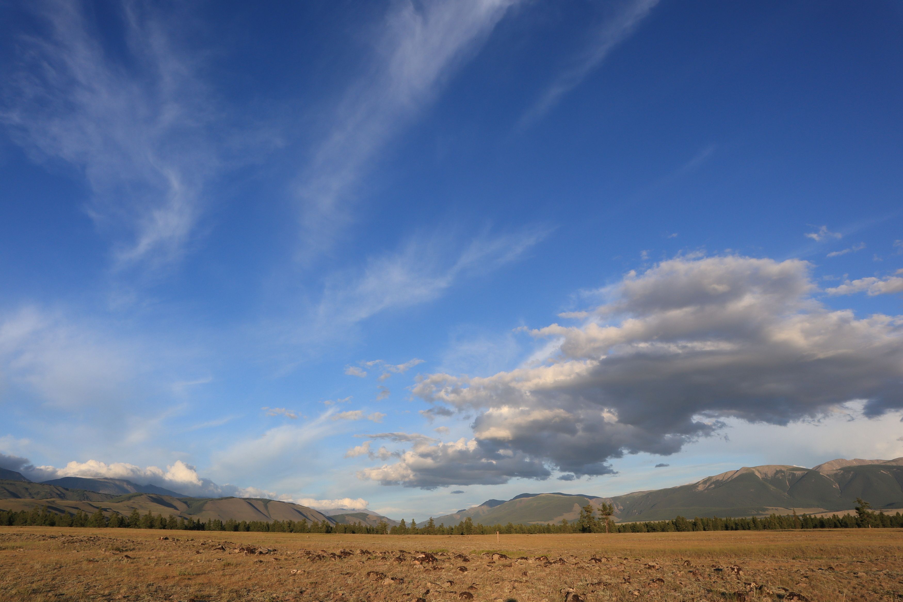 Алтайские просторы