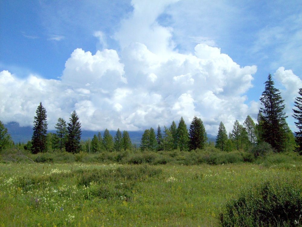 Photograph by Мигун Александра