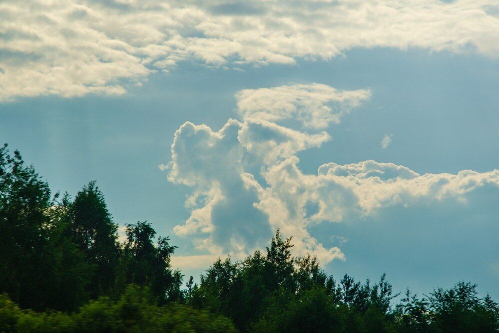 Photograph by Галина Ложечникова