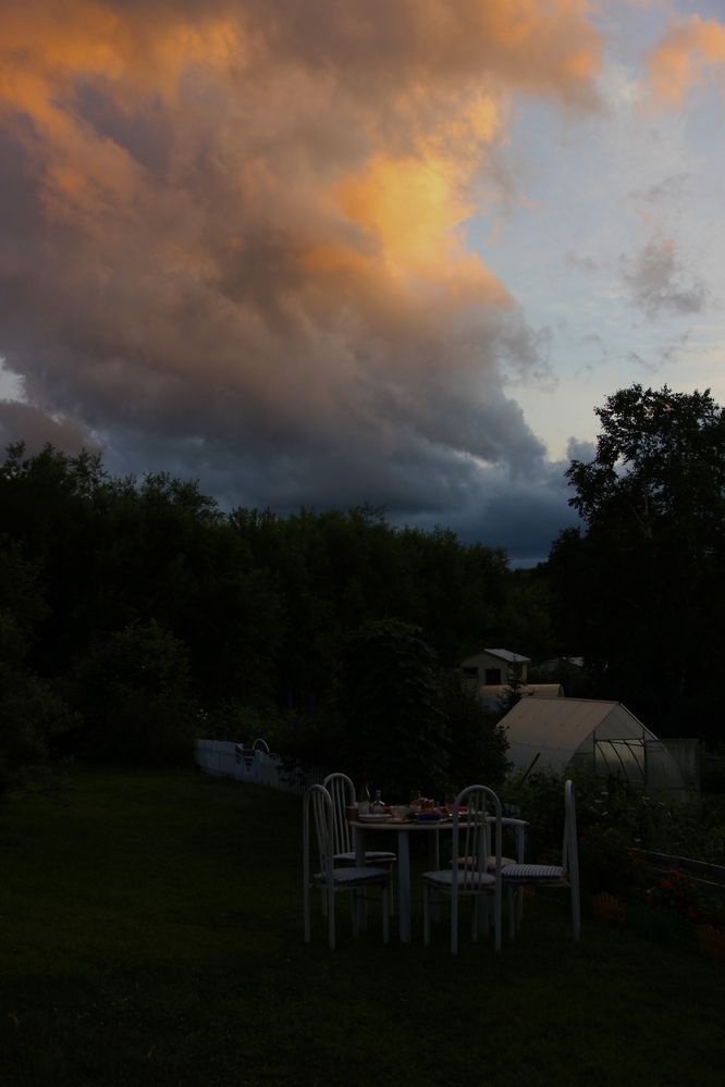 Фотография автора Эльза Завьялова