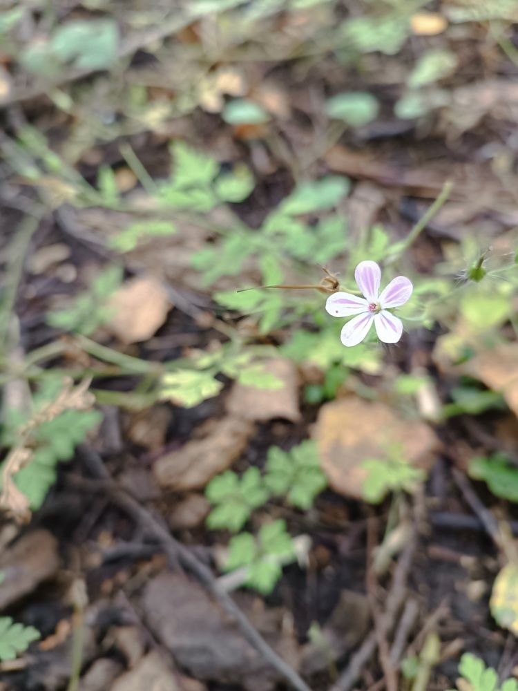 Photograph by Роза