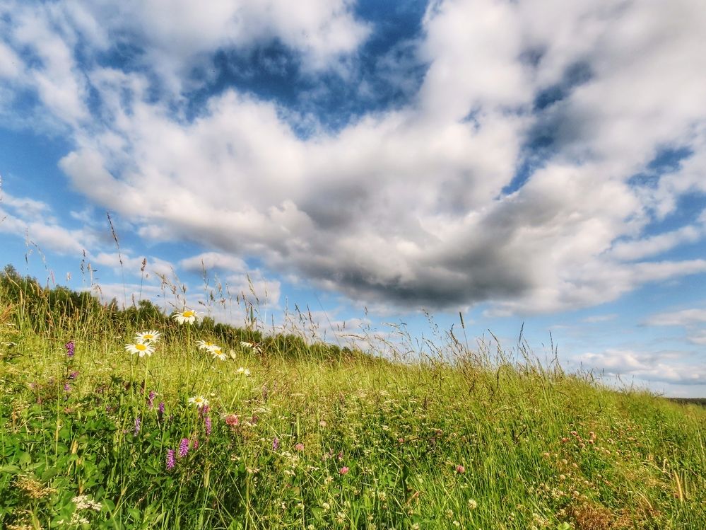 Фотография автора Екатерина Солохина