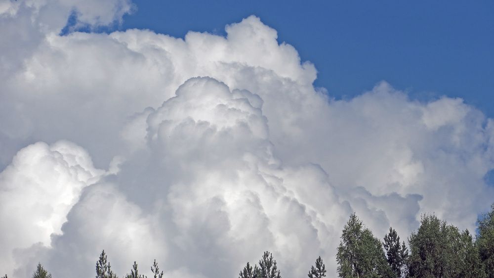 Photograph by Мигун Александра