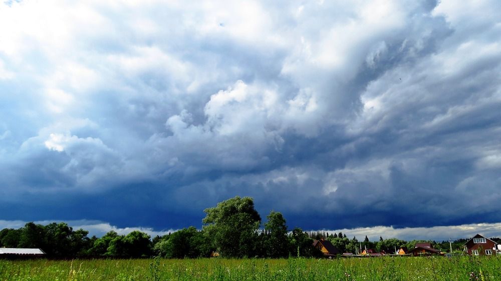 Photograph by Елена Казарина