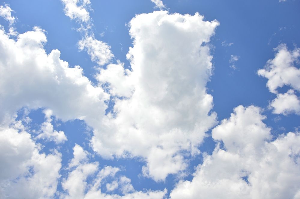 Photograph by Елена Савчук