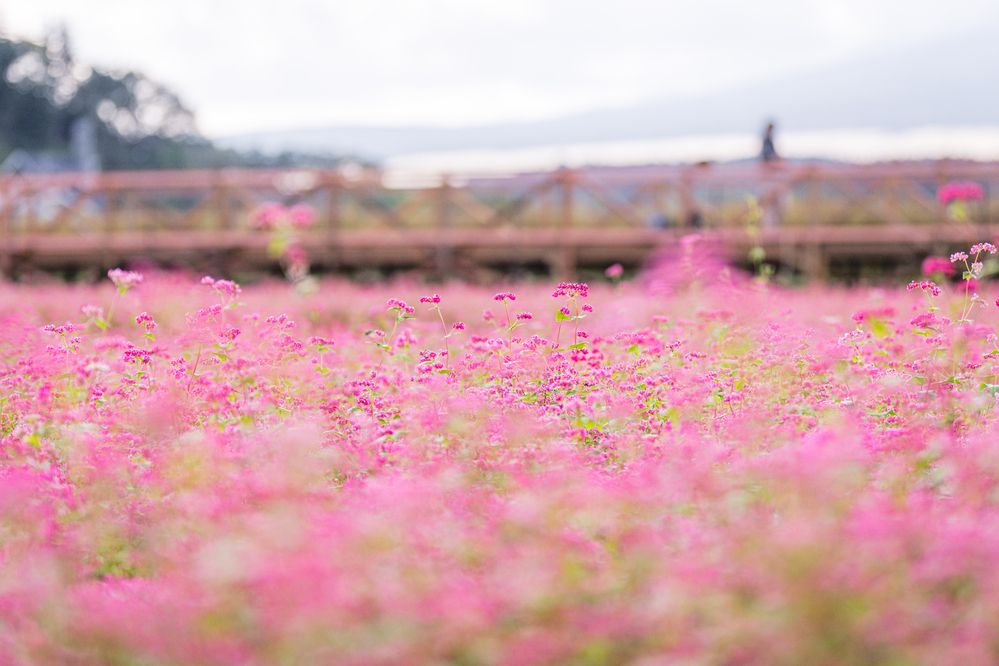 Фотография автора Nagai Go