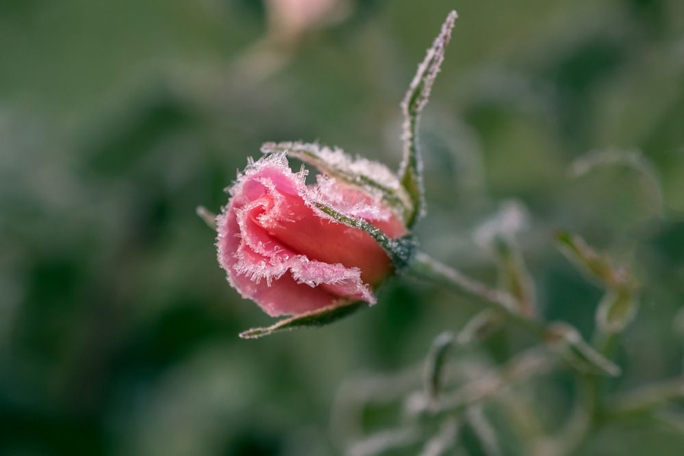 Photograph by Рюмина Ляля