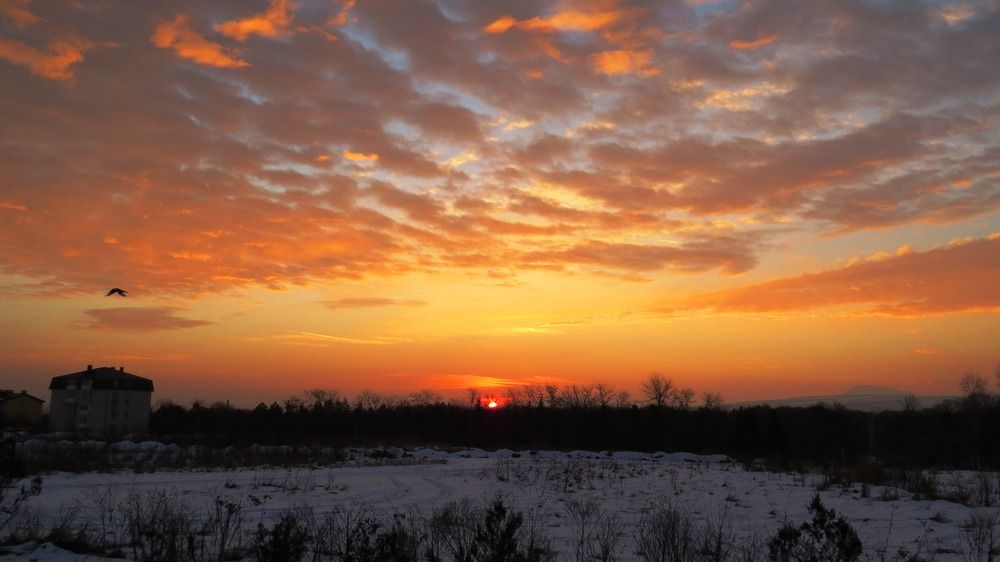 Photograph by Елена Казарина