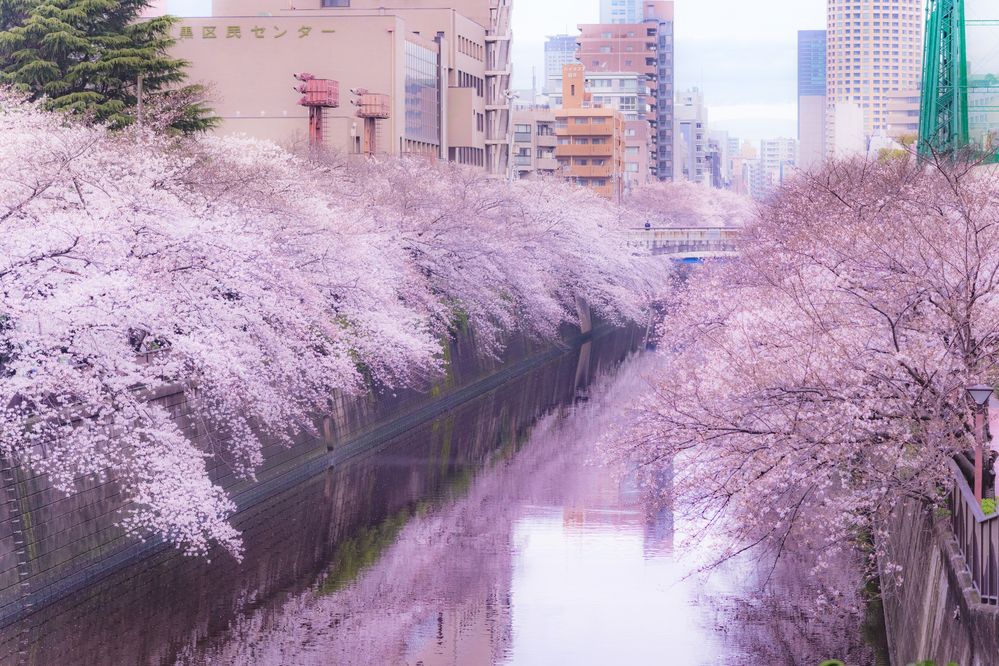 Фотография автора Nagai Go