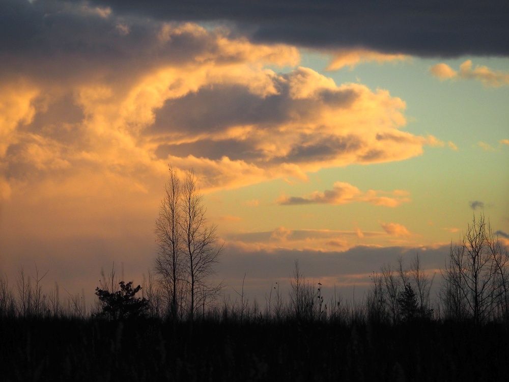 Photograph by Поляков Алексей